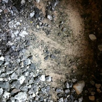 received_1223162904375408