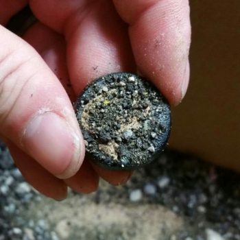 received_1223163361042029